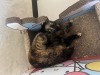 IMG_7237.jpeg