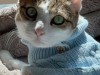 IMG_7279.jpeg