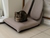 IMG_7468-converted.jpg