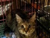 IMG_7794.jpeg