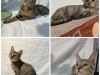 IMG_7812.jpeg