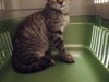 IMG_7873.jpeg