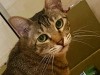 IMG_8685.jpeg