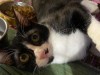 IMG_9173.jpeg