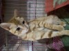 IMG_9189.jpeg