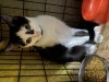 IMG_9199.jpeg