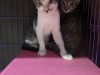 IMG_9288.jpeg