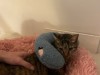 IMG_9407.jpeg