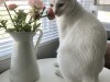 S__10125372.jpg