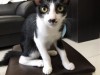S__30621701.jpg