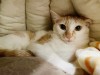 S__692297735.jpg
