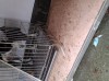 20260612_162752.jpg