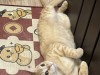 IMG_0011.jpeg