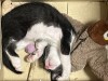 IMG_0047.jpeg