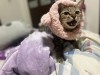 IMG_1104.jpeg