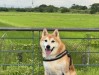 IMG_3006.jpeg