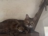 IMG_3307.jpeg