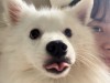 IMG_7832.jpeg